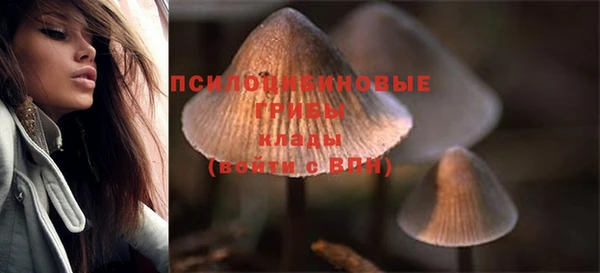 прущие грибы Алексеевка