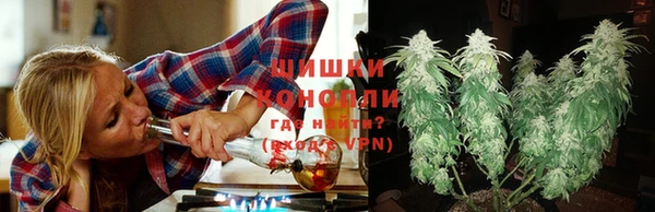 дурь Алзамай