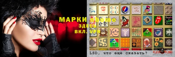 дурь Алзамай