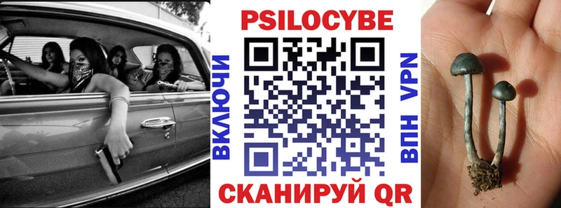 Псилоцибиновые грибы мухоморы  купить наркотики сайты  Балабаново 